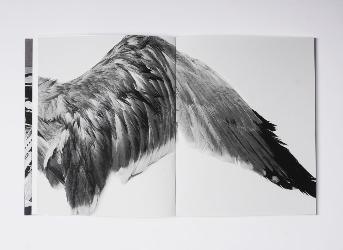 how to fly, joana duraes, pedro guimaraes