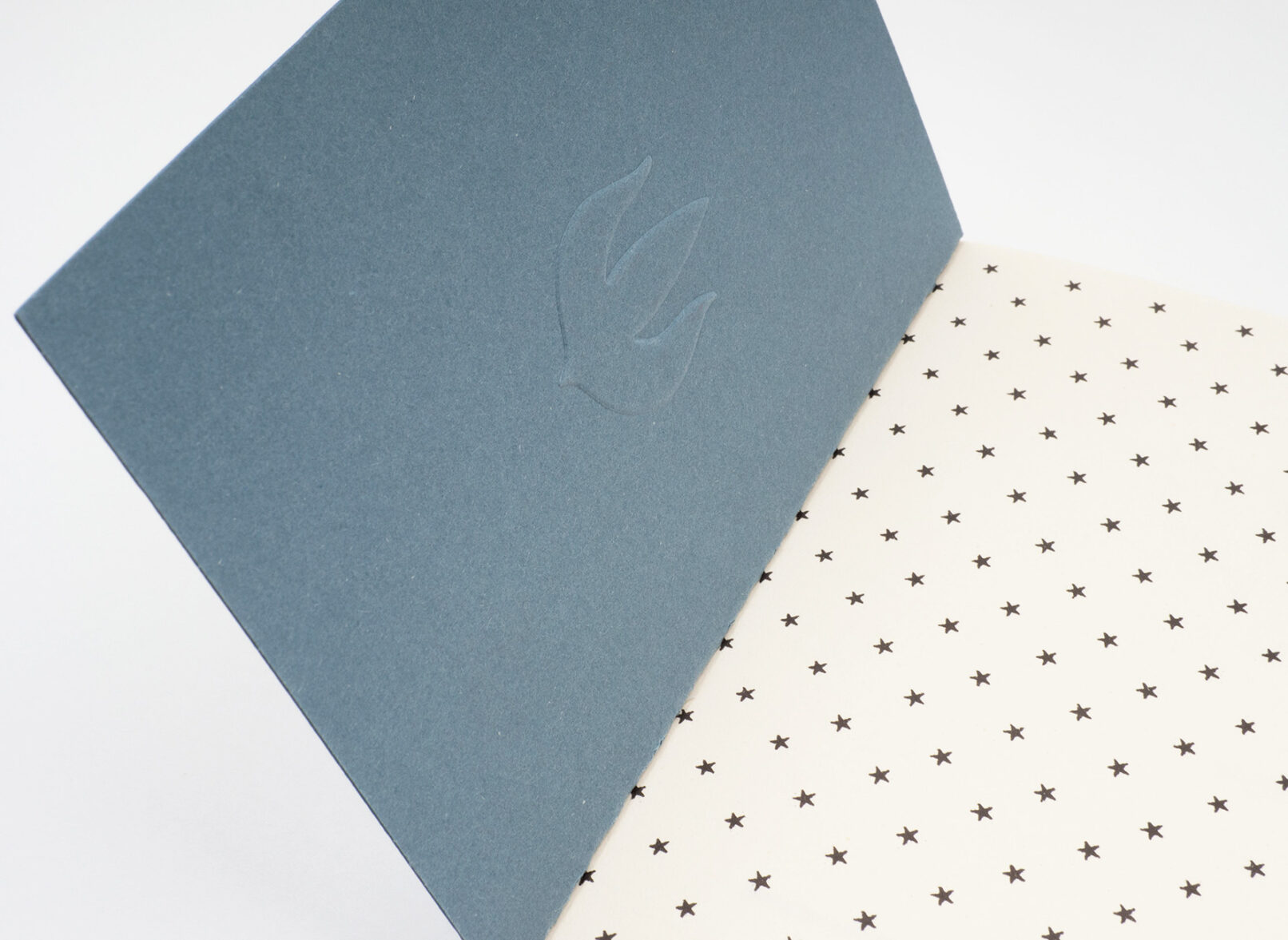 Joana Duraes, Before I Get Sick